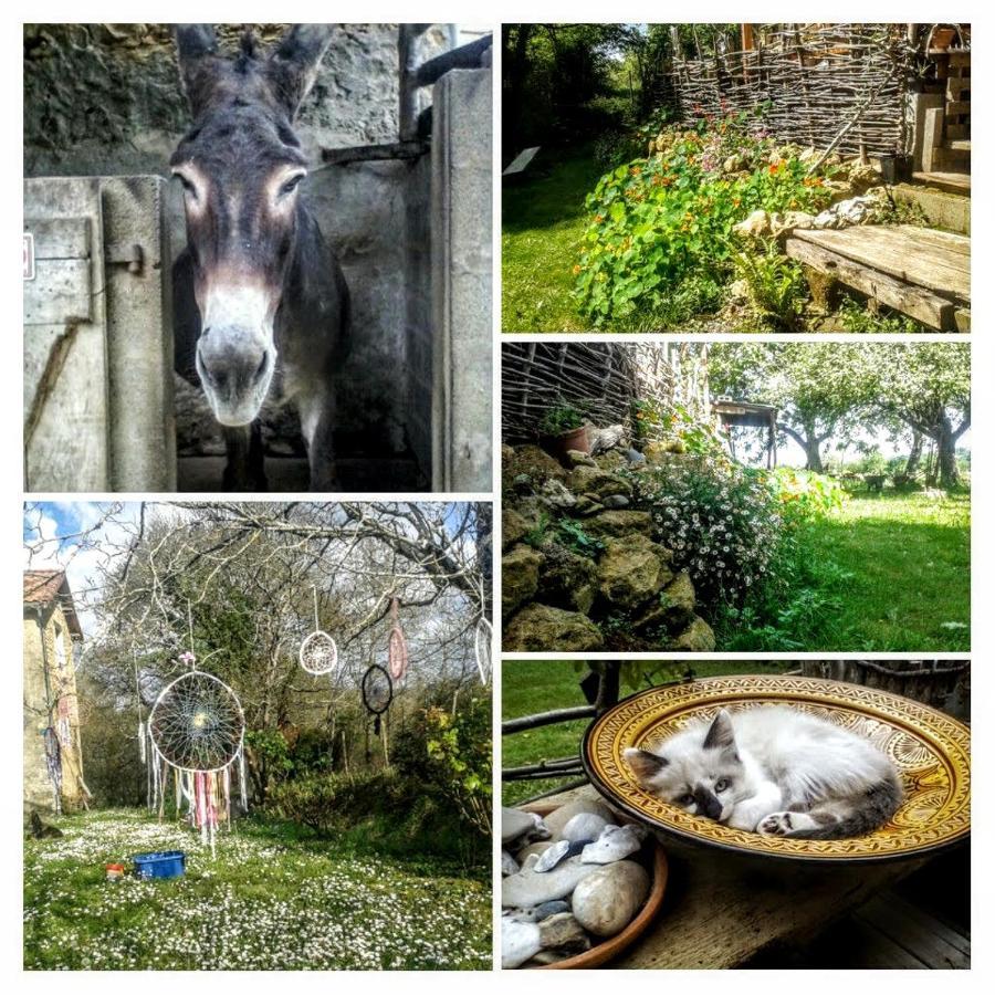 Séjour chez l'habitant Clèdes *